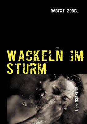 Book cover for Wackeln im Sturm