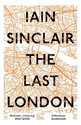 Book cover for The Last London