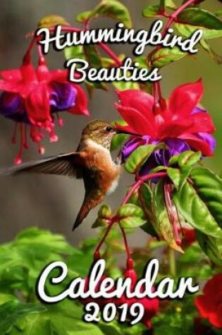 Cover of Hummingbird Beauties Calendar 2019