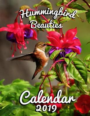 Book cover for Hummingbird Beauties Calendar 2019