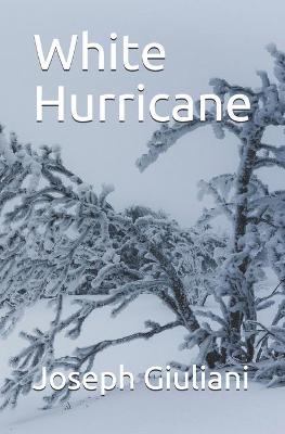 Book cover for White Hurricane