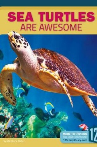 Cover of Sea Turtles Are Awesome