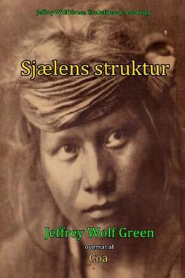 Book cover for Sjælens struktur