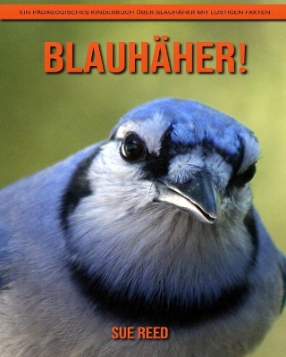 Book cover for Blauhäher! Ein pädagogisches Kinderbuch über Blauhäher mit lustigen Fakten