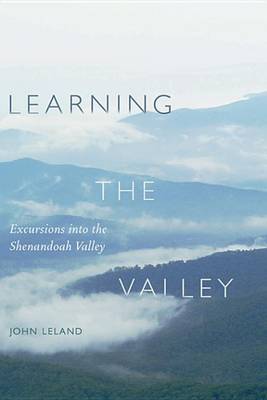 Book cover for Learning the Valley