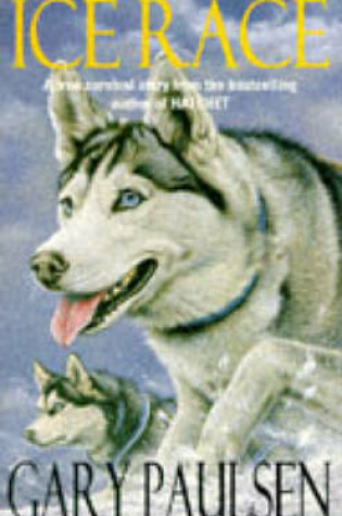 Cover of Ice Race