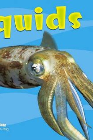 Cover of Squids