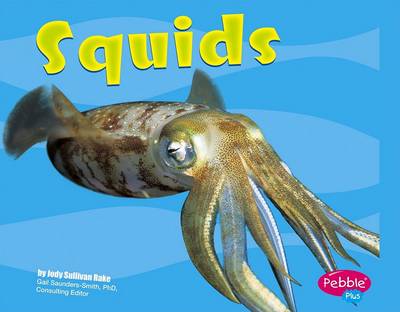 Cover of Squids