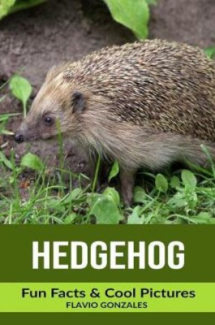 Cover of Hedgehog