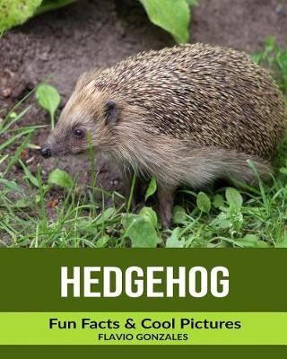 Book cover for Hedgehog