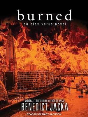 Book cover for Burned