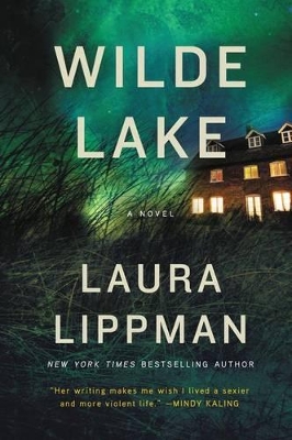 Book cover for Wilde Lake