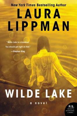 Book cover for Wilde Lake