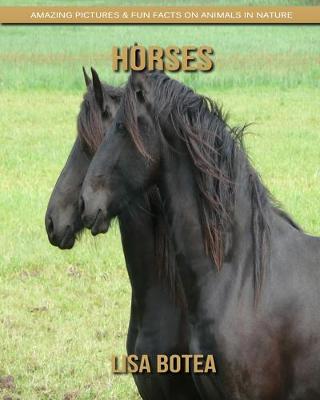 Book cover for Horses