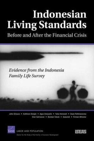 Cover of Indonesdian Living Standards Before and After the Financial Crisis