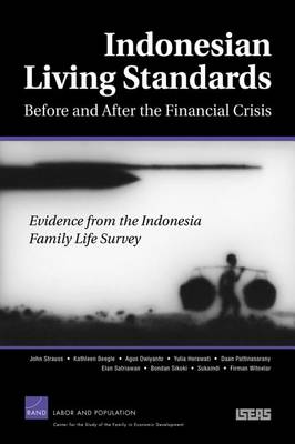 Book cover for Indonesdian Living Standards Before and After the Financial Crisis