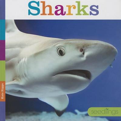 Book cover for Sharks