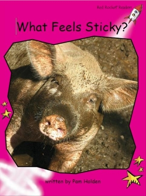 Book cover for What Feels Sticky?