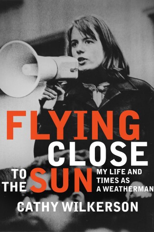 Cover of Flying Close To The Sun