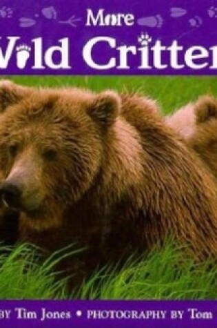Cover of More Wild Critters