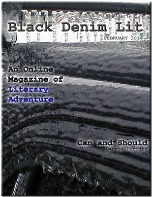 Book cover for Black Denim Lit v1 #1