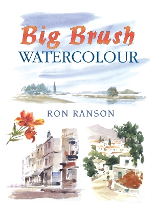 Book cover for Big Brush Watercolor