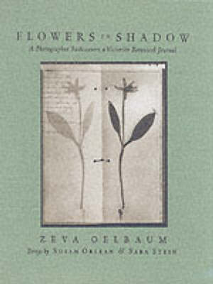 Book cover for Flowers in Shadow