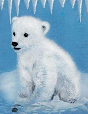 Book cover for Polar Bear Notebook