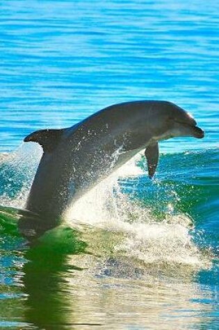 Cover of A Dolphin Swimming in the Ocean Journal