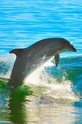 Book cover for A Dolphin Swimming in the Ocean Journal