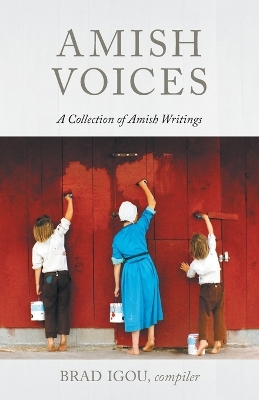 Book cover for Amish Voices