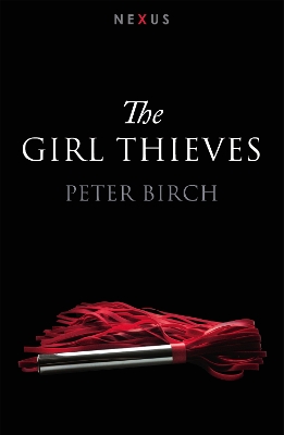 Book cover for The Girl Thieves