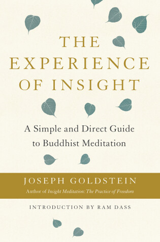 Cover of The Experience of Insight