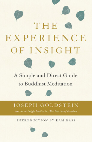 Book cover for The Experience of Insight