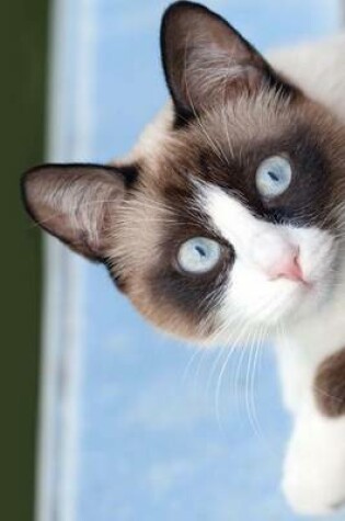 Cover of Snowshoe Cat Journal "Will My Human Like the Present I Left in the Hall?"