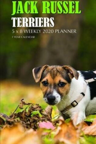 Cover of Jack Russel Terriers 5 x 8 Weekly 2020 Planner