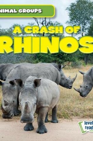 Cover of A Crash of Rhinos