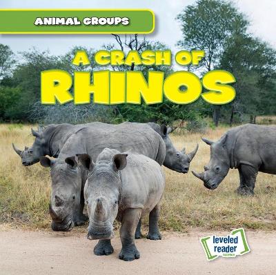 Book cover for A Crash of Rhinos