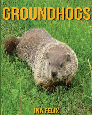 Book cover for Groundhogs