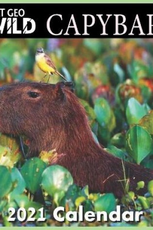 Cover of CAPYBARA calendar 2021