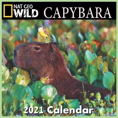 Book cover for CAPYBARA calendar 2021