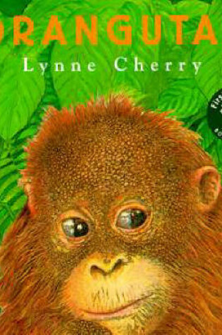 Cover of Orangutan