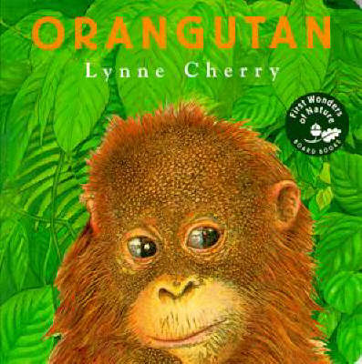 Book cover for Orangutan