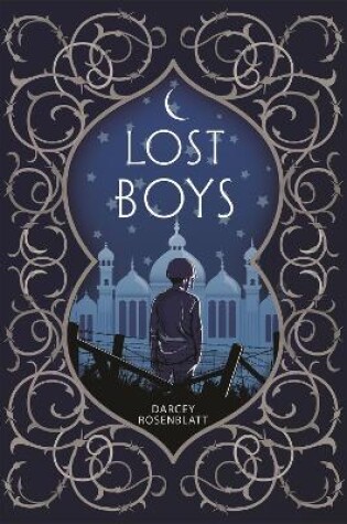 Cover of Lost Boys