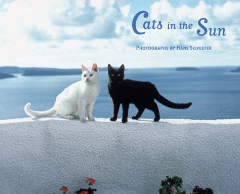 Book cover for Cats in the Sun - Delux N.Card No Right