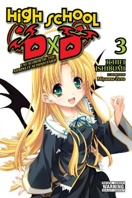 Cover of High School DxD, Vol. 3 (light novel)