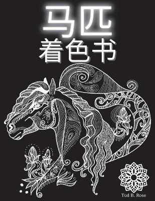 Book cover for &#39532;&#21305; &#30528;&#33394;&#20070;