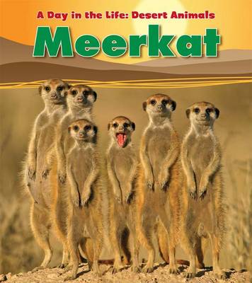 Cover of Meerkat