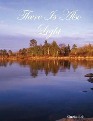 Book cover for There Is Also Light