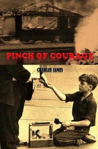 Cover of Pinch of Courage